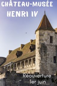 Château-musée Henri IV