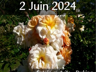 Affiche rosier lmj 2024 web