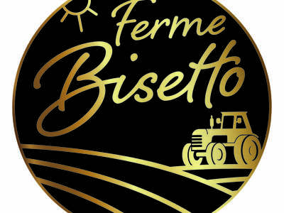 Logo_Bisetto