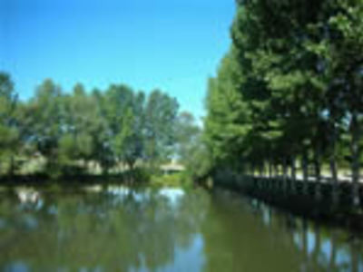 lac francescas