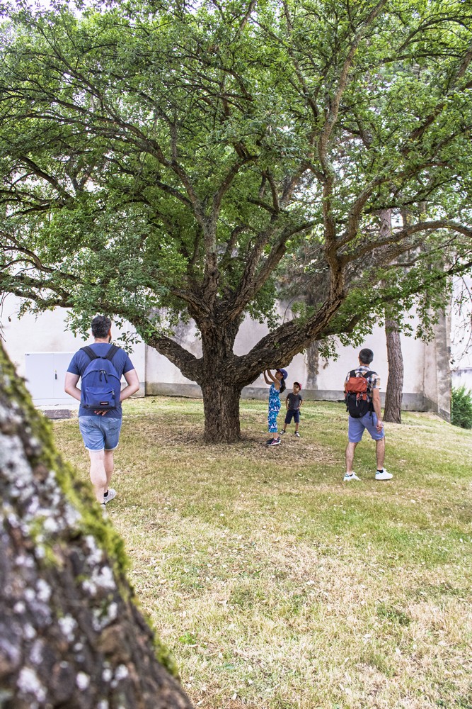 Visite Famille Mézin-Albret Tourisme