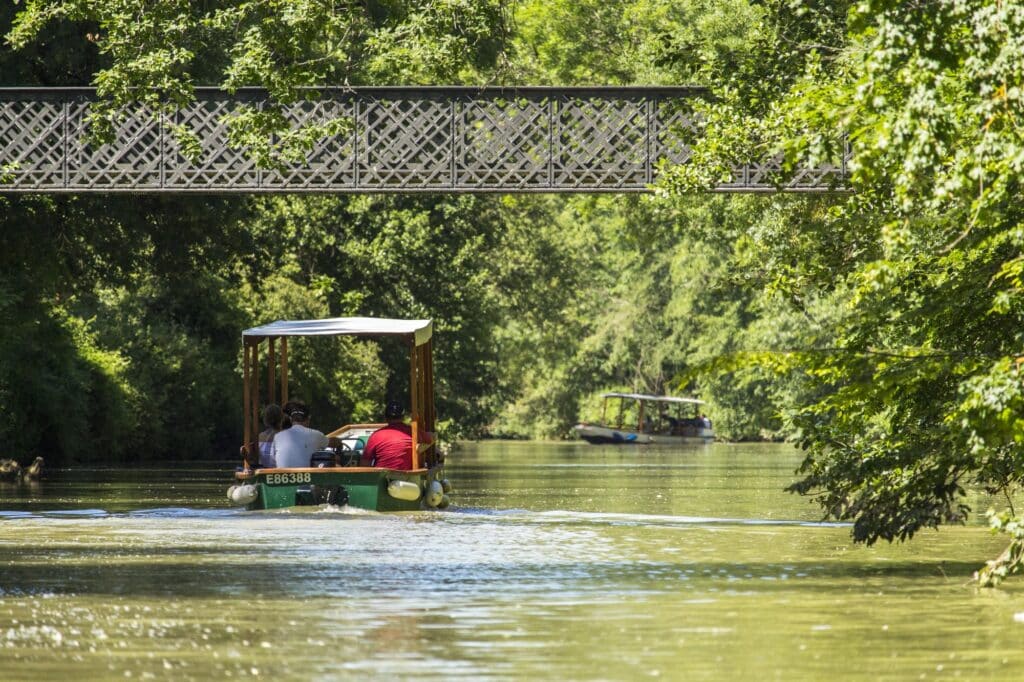 Que faire à Nérac Location de gabarot à Nérac