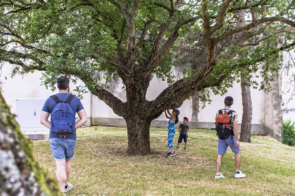 Visite famille Mézin