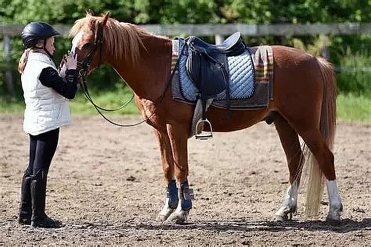 horseback riding