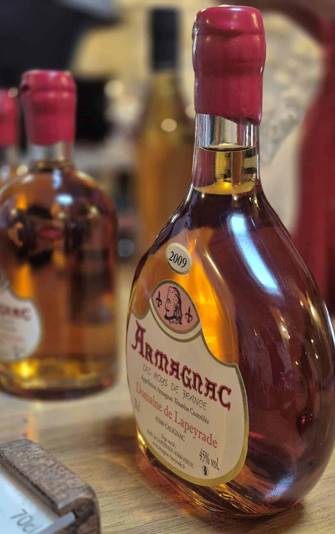 Domaine de Lapeyrade-Un Dimanche Au Vignoble-Albret Tourisme